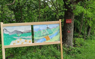 Pogled s vrha
