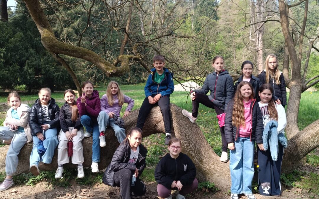 „Dvorci pričaju priče“ – Vinica