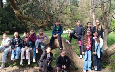 „Dvorci pričaju priče“ – Vinica